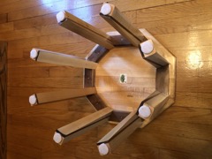 bottom view
